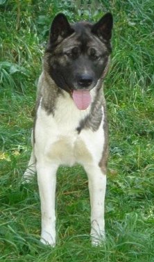 Fany 2 Jahre
